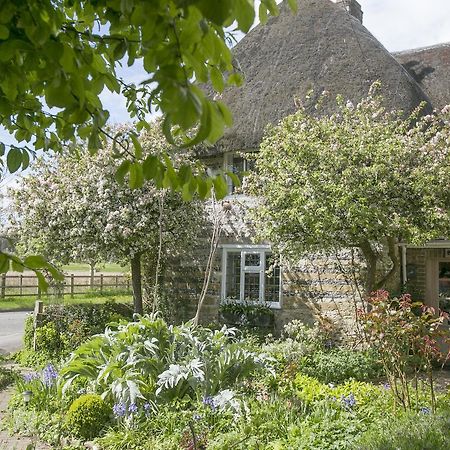 דורצ'סטר Tudor Cottage B&B Frampton מראה חיצוני תמונה