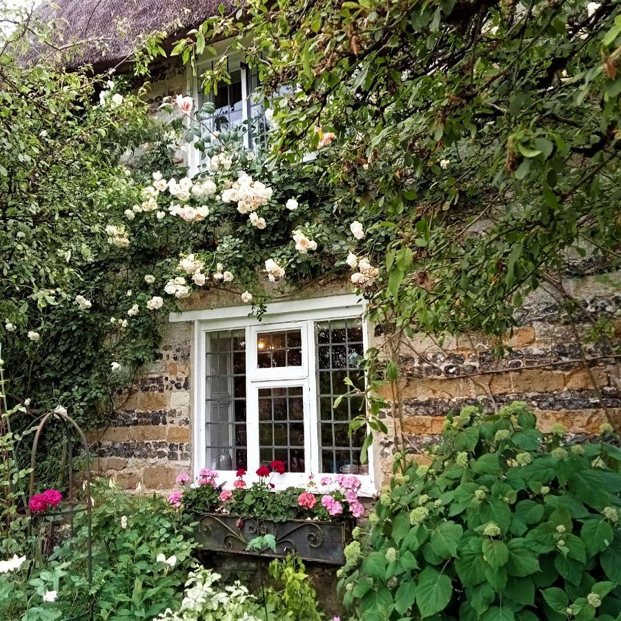 דורצ'סטר Tudor Cottage B&B Frampton מראה חיצוני תמונה