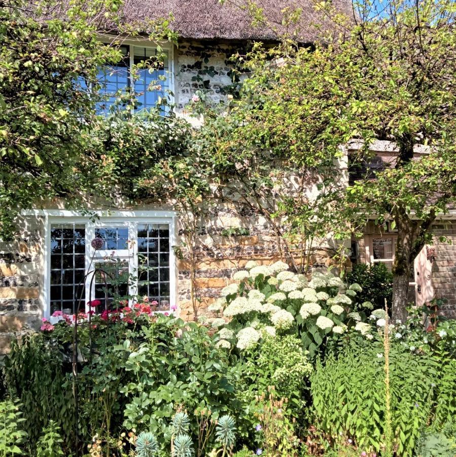 דורצ'סטר Tudor Cottage B&B Frampton מראה חיצוני תמונה