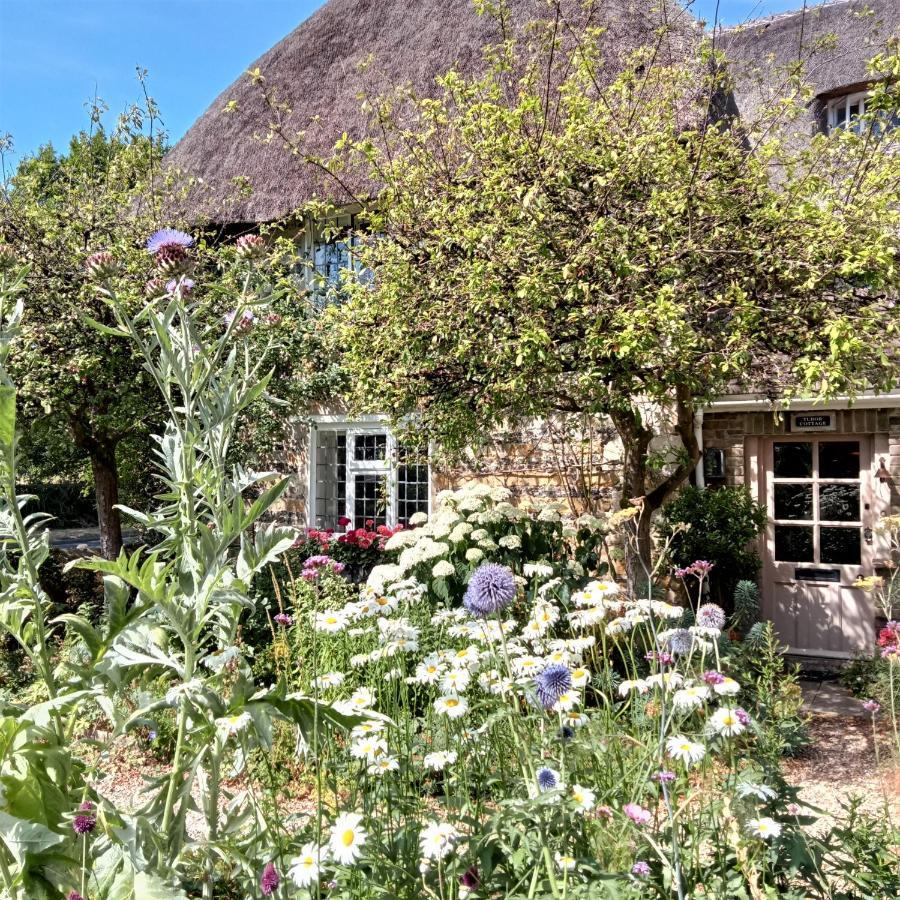 דורצ'סטר Tudor Cottage B&B Frampton מראה חיצוני תמונה