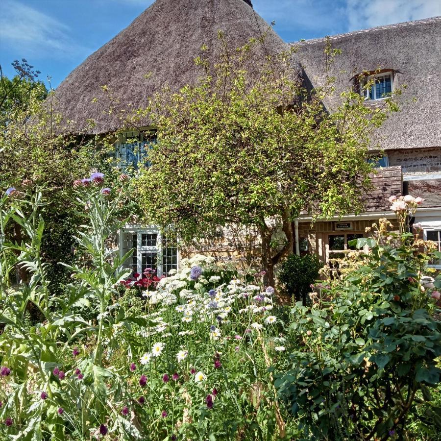 דורצ'סטר Tudor Cottage B&B Frampton מראה חיצוני תמונה