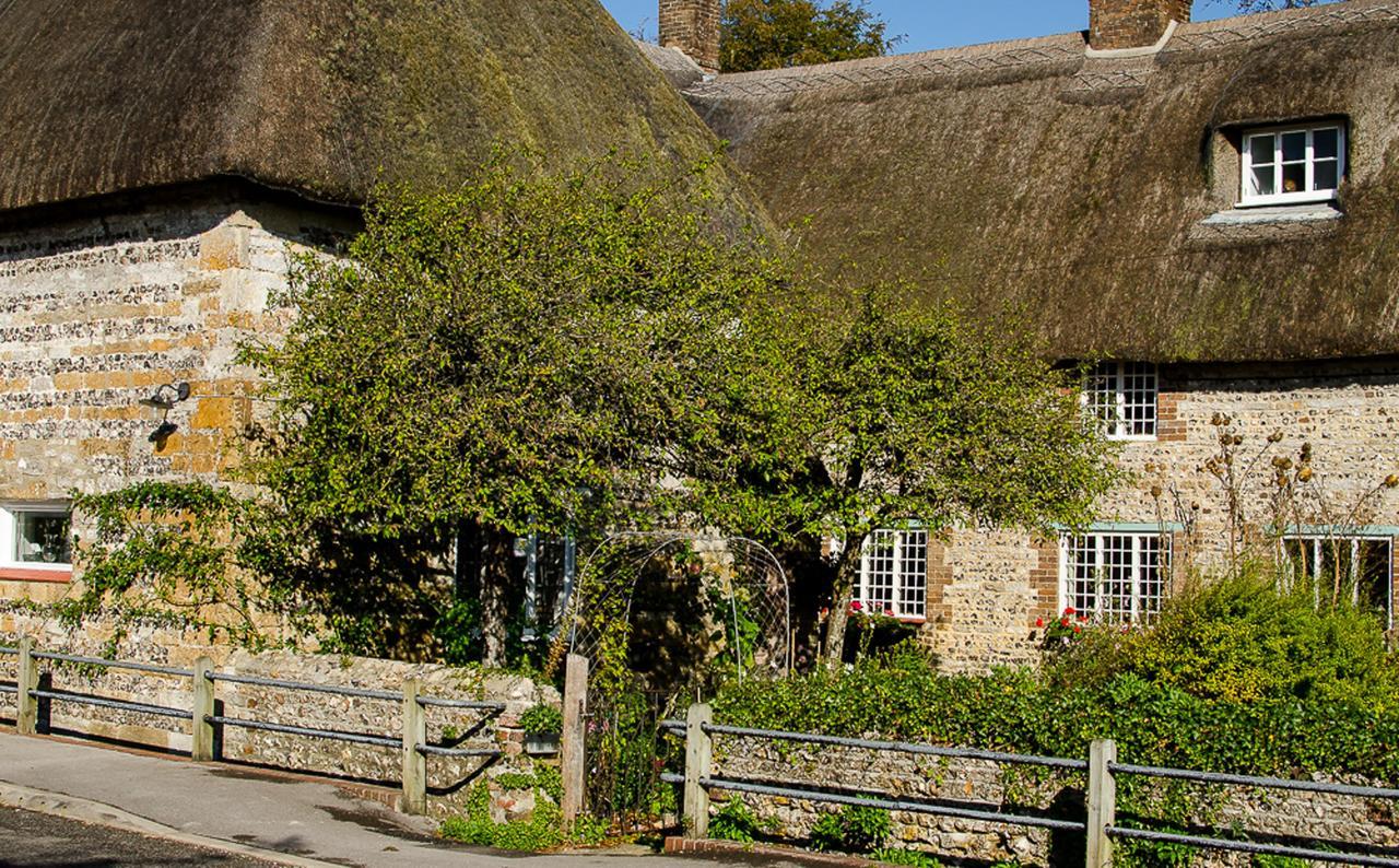 דורצ'סטר Tudor Cottage B&B Frampton מראה חיצוני תמונה