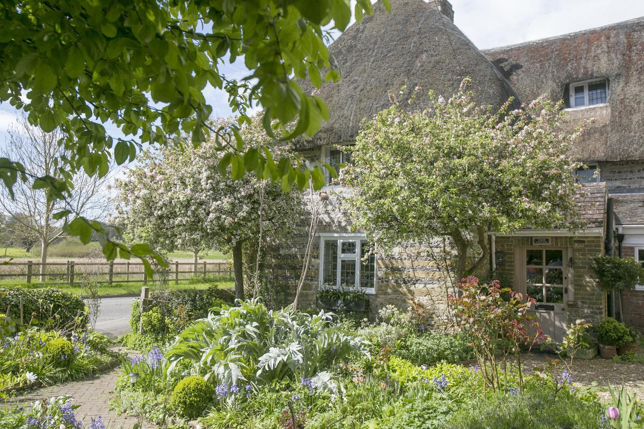 דורצ'סטר Tudor Cottage B&B Frampton מראה חיצוני תמונה